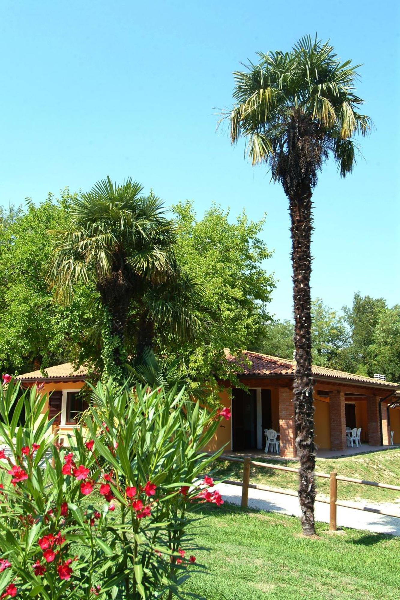 Camping Zocco Manerba del Garda Ngoại thất bức ảnh